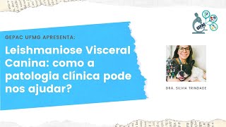 Leishmaniose Visceral Canina como a patologia clínica pode ajudar com Silvia Trindade  GEPAC UFMG [upl. by Rednasyl]