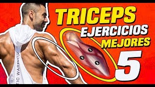 🔴 DESCUBRE los 5 Mejores EJERCICIOS de TRICEPS 💪🏻 MANCUERNAS BARRA y TRX [upl. by Anawt]