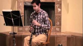 YouTube Symphony 2011  Michael Rezzo  Clarinet Audition [upl. by Acilef370]