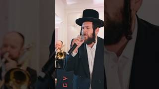 Shmueli Ungar amp En3rgy Band  Wedding [upl. by Hewitt528]