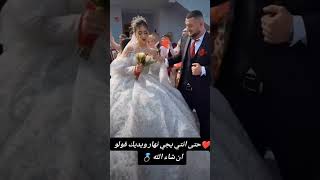 mariagealgerien mariaged اعراسجزائرية mariagemarocain follow [upl. by Elleivad]