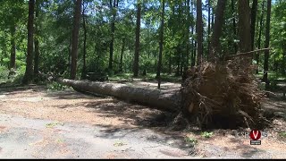 Storm damages trees at McCurtain County campgrounds [upl. by Airalav]