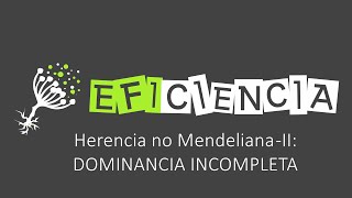 DOMINANCIA INCOMPLETA O INTERMEDIA Herencia no Mendeliana II [upl. by Laehplar685]