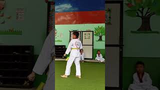 Poomsae3Eris Taekwondo DojangSmita Rai [upl. by Peppie]