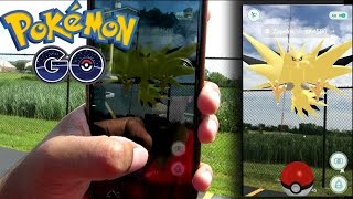 Catching ZAPDOS Pokemon Go  Rare Legendary Catch Location [upl. by Schreibman331]