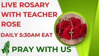 54 DAY ROSARY NOVENA DAY 24  GLORIOUS MYSTERIES [upl. by Alana681]