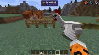 Minecraft Cockatrice VS Velociraptor [upl. by Emorej357]