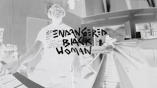 Robert Glasper  Endangered Black Woman  Instrumental [upl. by Enitsuga]