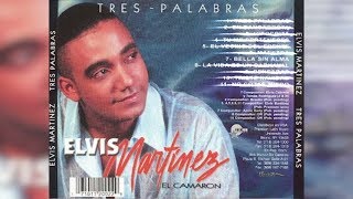 Elvis Martinez  Llorarás Audio Oficial álbum Musical Descontrolado  2004 [upl. by Hannie]