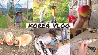 Моя обычная жизнь в Южной Корее  KOREA VLOG [upl. by Susan]