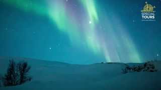 Northern Lights Iceland [upl. by Eyatnod]