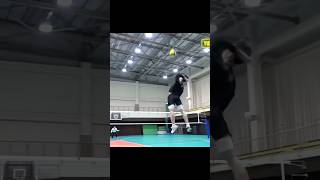 Nishidas serve 🤯🔥edit athlete love volleyball ball vertical spike athletic movie [upl. by Frederico]