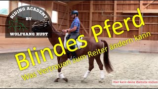 F52 Pferde mit Beeinträchtigung Reiten lernen Feines harmonisches amp pferdefreundliches Reiten [upl. by Anaytat496]