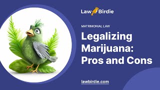 Legalizing Marijuana Pros and Cons  Essay Example [upl. by Greenlee341]