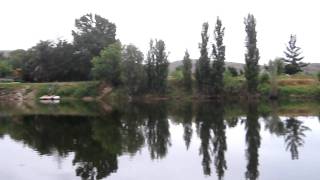 Bird calls and river at dawn at Bonnievale River LodgeMOV [upl. by Geminius]