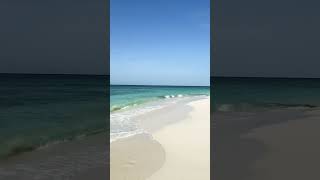 Tamarijn Aruba All Inclusive Resort  Oceanfront beach view  Aruba  Aug 2024 [upl. by Etterrag]