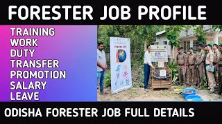 forester job profile odisha forester job profile duty promotionsalarydutymyodiaupdates [upl. by Adle]