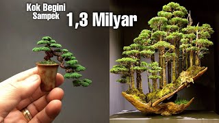 Inilah 5 Bonsai Termahal dan terbaik Didunia POHON KERDIL YANG UNIK [upl. by Atsirhc]