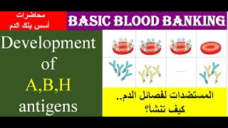 Lecture 22 Development of ABH antigens [upl. by Enaxor565]