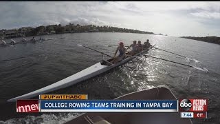 College Rowing Teams Call Tampa Bay Home With WinterSpring Training [upl. by Abeh]