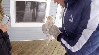 Trovano un gatto congelato in giardino Quello che accade è un vero miracolo damore [upl. by Hildebrandt743]