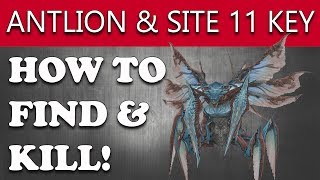 Final Fantasy XII The Zodiac Age How to Find ANTLION Hunt amp SITE 11 KEY Antlion Infestation [upl. by Lucrece]