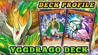 YGGDRAGO MAXIMUM Deck Profile  YuGiOh Rush Duel [upl. by Aihtniroc]