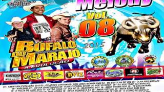 ♬ Cd Melody 2015  Búfalo Do Marajó Vol 08 ♬ [upl. by Keli]