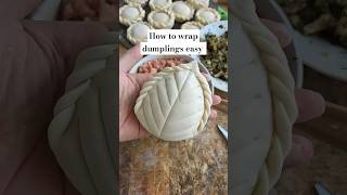 Whats the Secret to Making PERFECT Homemade Dumplings Dumpling Folding Styles dumplings [upl. by Iam]