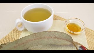 Eucalyptus Tea Superb 5 Benefits of This Beverage [upl. by Ignacius]