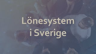 Lönesystem i Sverige 2024 [upl. by Revned]