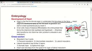 Development Of Heart Part1  Heart embryology  Cardiovascular system  First Aid Lectures  Lec1 [upl. by Desma135]