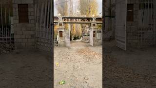 City park Skardu turns yellow autumn yellow gilgitbaltistantourism travel nature satisfying [upl. by Healion597]