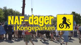 NAFdager i Kongeparken [upl. by Latton]