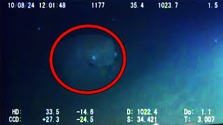 12 Mysterious Underwater Creatures Caught on Tape [upl. by Bernita539]