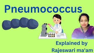 Pneumococcus [upl. by Pedrotti]