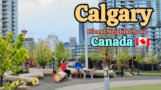 Calgary Canada  Calgarys One of the nicest neighborhood Calgary canada alberta [upl. by Latihs]