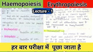 haemopoiesis notes  hematopoiesis  erythropoiesis physiology  erythropoietin  rbc production [upl. by Gerianne]