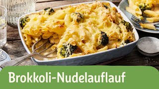 Brokkoli Nudelauflauf  REWE Deine Küche [upl. by Nickelsen338]