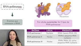 Transcrição do DNA ao RNA [upl. by Yesnek]