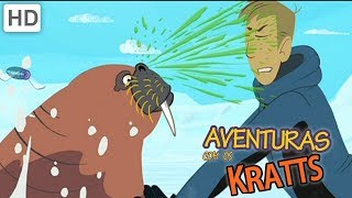 Aventuras com os Kratts  Como Viver Na Natureza [upl. by Eema]