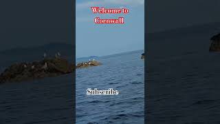 Welcome to Cornwall [upl. by Ardnekahs29]