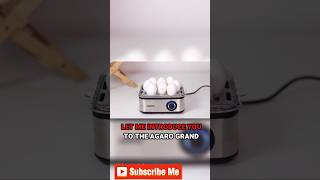 🥚 Perfect Eggs Every Time with the Grand Egg Boiler and Poacher 🍳✨shortseggboiler productreview [upl. by Windham538]