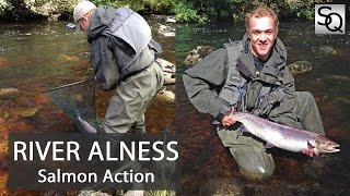 Salmon Fishing in Scotland  River Alness Double or Nothing [upl. by Aniaz]