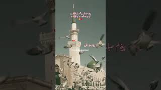 Paigham e Saba Lai Hai Gulzar e Nabi Se 🌹 ytreels shorts explore oldisgold madina naat video [upl. by Enilecram783]