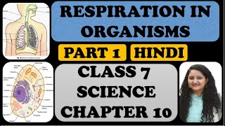 RESPIRATION IN ORGANISMS  CLASS 7 SCIENCE CHAPTER 10 IN HINDI  PART 1 MANISHA PARIHAR [upl. by Bronk]