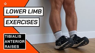 Tibialis Anterior Raise  Running Exercises [upl. by Adnuhser]