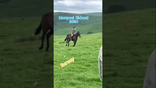 Hawick Common Riding Mosspaul 2024 at Northhouse  Isaac on Barney samdeansfit [upl. by Drescher263]