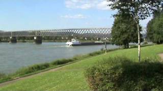 Holländischer Schubverband und andere Rheinschiffe bei der Eisenbahnbrücke von Urmitz [upl. by Greyso892]