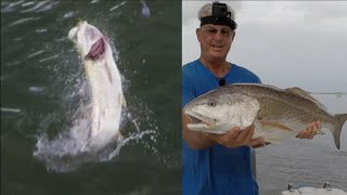 Fishing Downtown St Augustine For Redfish And Tarpon [upl. by Enos]